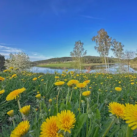 Feriendorf Seeblick Chalet With Sauna And Hot Tub *