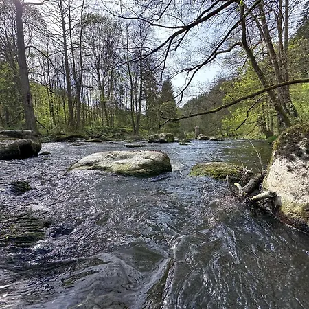 Seeblick - Premium Tiny-chalet Mit Sauna Und Hottub *